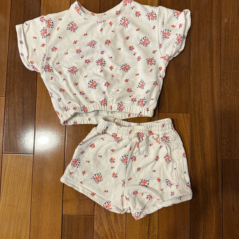 Floral Print Crop Top and Shorts Set